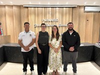 Comissão Representativa