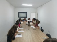 Vereadores Juvenis Realizam Reunião de Comissões na Câmara de Vereadores